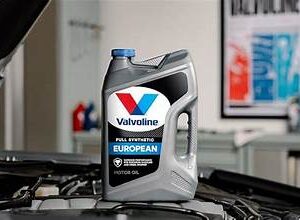 Oil Service- MOST CARS